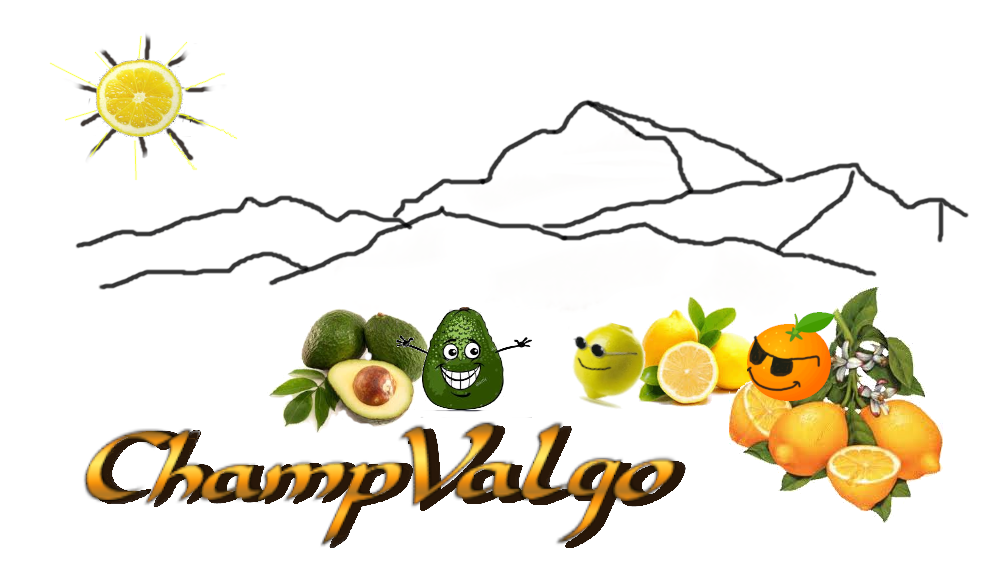 ChampValgo